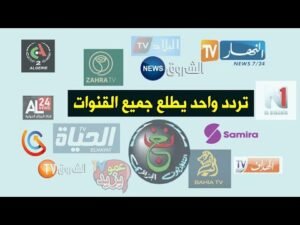 كيفية استقبال تردد قناة النهار العامة على نايل سات