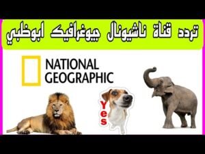 التردد الأحدث لقناة ناشيونال جيوغرافيك أبوظبي 2026 (Nat Geo Abu Dhabi) على نايل سات