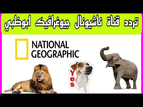 التردد الأحدث لقناة ناشيونال جيوغرافيك أبوظبي 2026 (Nat Geo Abu Dhabi) على نايل سات – أحدث وأفضل المحتوى المرئي 2026